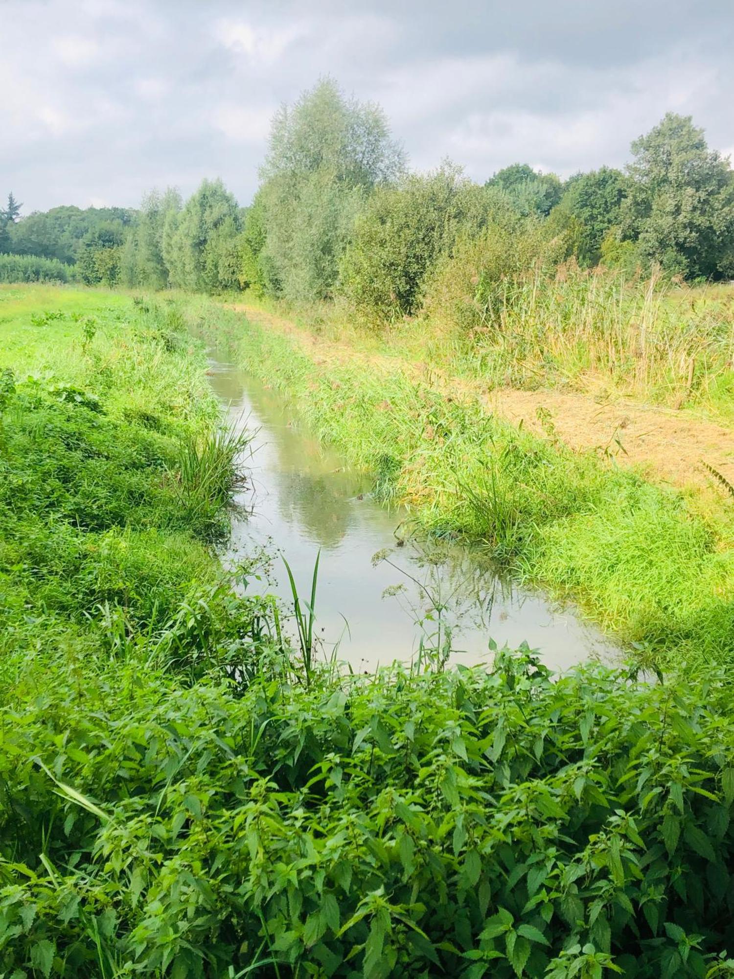 B &B Yuupke Maasbree Noord-Limburg Venlo Roermond住宿加早餐旅馆 外观 照片