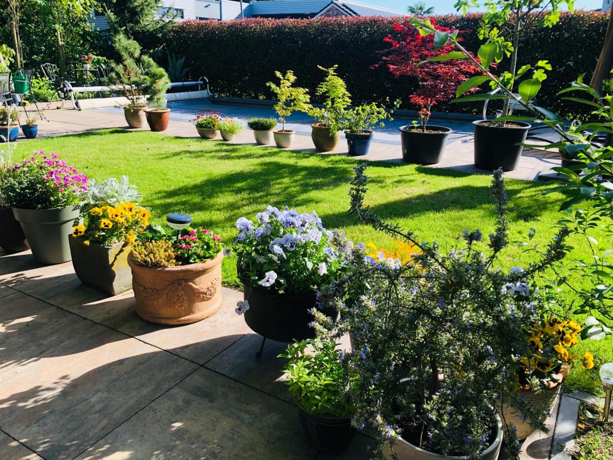 B &B Yuupke Maasbree Noord-Limburg Venlo Roermond住宿加早餐旅馆 外观 照片